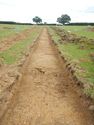Thumbnail of SE-facing trench shot of SSD03