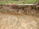 Thumbnail of NW-facing representative section of SSC01