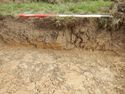 Thumbnail of NW-facing representative section of SSC01