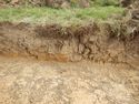 Thumbnail of NW-facing representative section of SSC01