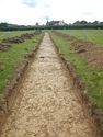 Thumbnail of SW-facing trench shot of SSC03