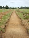 Thumbnail of NE-facing trench shot of SSC04