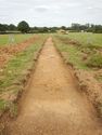 Thumbnail of NE-facing trench shot of SSC04