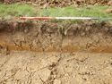 Thumbnail of SE-facing representative section of SSC04