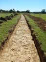 Thumbnail of SE-facing trench shot of SSC05
