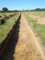 Thumbnail of SW-facing trench shot of SSC08