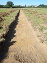 Thumbnail of SW-facing trench shot of SSC09