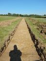 Thumbnail of NW-facing trench shot of SSC06