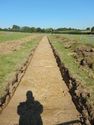 Thumbnail of NW-facing trench shot of SSC06