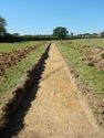 Thumbnail of trench shot of SSC10