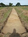 Thumbnail of NW-facing trench shot of SSF04