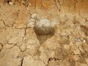 Thumbnail of S-facing section of SSf [3003]