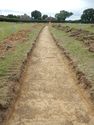 Thumbnail of W-facing trench shot of SSF03