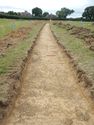Thumbnail of W-facing trench shot of SSF03