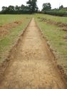 Thumbnail of S-facing trench shot of SSF01