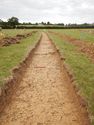 Thumbnail of N-facing trench shot of SSF08