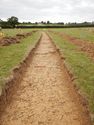 Thumbnail of N-facing trench shot of SSF08