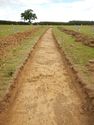 Thumbnail of S-facing trench shot of SSF08