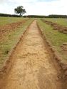 Thumbnail of S-facing trench shot of SSF08