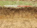 Thumbnail of E-facing section of SSF08