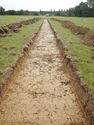 Thumbnail of E-facing trench shot of SSF06