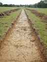 Thumbnail of E-facing trench shot of SSF06