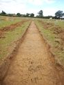 Thumbnail of W-facing trench shot of SSF06