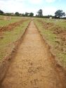 Thumbnail of W-facing trench shot of SSF06