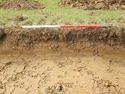 Thumbnail of S-facing section of SSF06