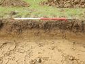 Thumbnail of S-facing section of SSF06