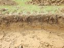 Thumbnail of S-facing section of SSF06
