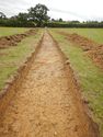 Thumbnail of S-facing trench shot of SSF11