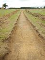 Thumbnail of N-facing trench shot of SSF11