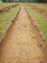 Thumbnail of E-facing trench shot of SSF10