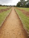 Thumbnail of E-facing trench shot of SSF14