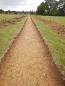 Thumbnail of E-facing trench shot of SSF14
