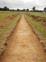 Thumbnail of E-facing trench shot of SSF14