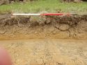 Thumbnail of N-facing section of SSF14