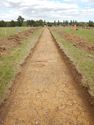 Thumbnail of E-facing trench shot of SSF13