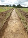 Thumbnail of W-facing trench shot of SSF13