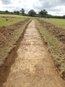 Thumbnail of W-facing trench shot of SSF13
