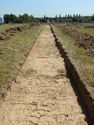 Thumbnail of E-facing trench shot of SSF17