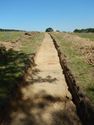 Thumbnail of S-facing trench shot of SSF18