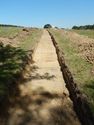 Thumbnail of S-facing trench shot of SSF18
