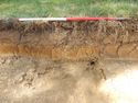 Thumbnail of E-facing section of SSF [18003]