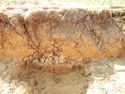 Thumbnail of N-facing section of SSF [14003]