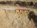 Thumbnail of SE-facing section of SSF [13004]