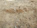 Thumbnail of SW-facing section of SSZ [2003]