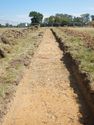 Thumbnail of Trench shot of SSZ01