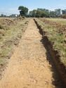Thumbnail of Trench shot of SSZ01